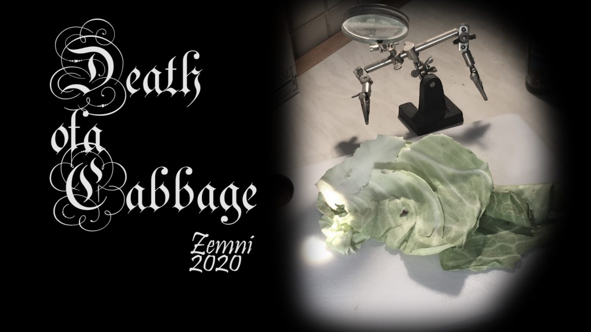 E2.2-2.3: Death of a Cabbage revisited: animatic and sound track